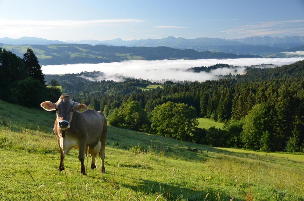 Hotel Alpenrose Gut Schlafen & Fruehstuecken 샤이데크 외부 사진