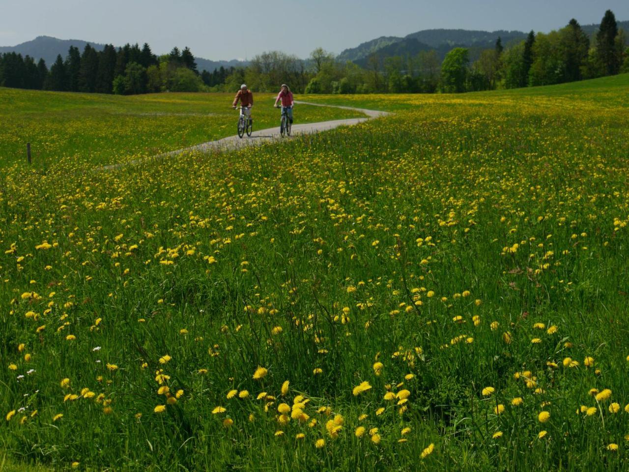Hotel Alpenrose Gut Schlafen & Fruehstuecken 샤이데크 외부 사진